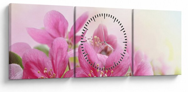 Tablou - Flori roz (cu ceas) (90x30 cm)