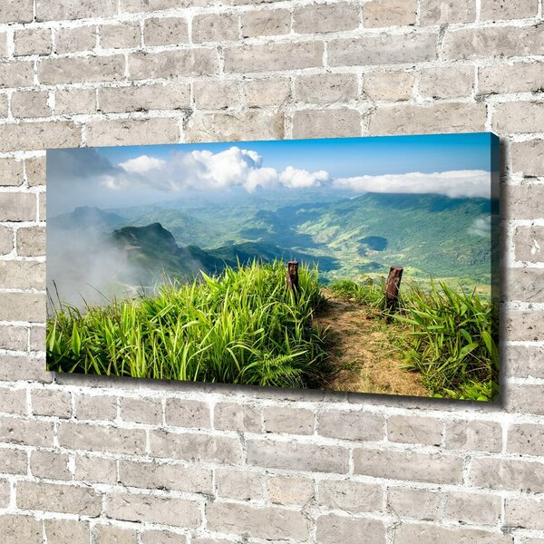 Pictură pe pânză Trail la partea de sus