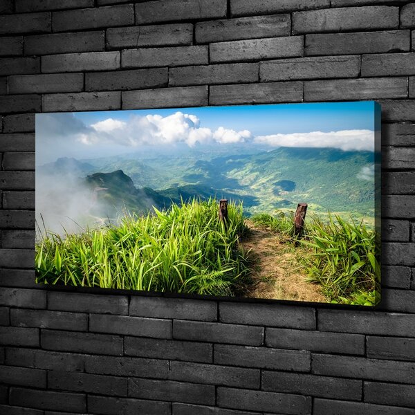 Pictură pe pânză Trail la partea de sus