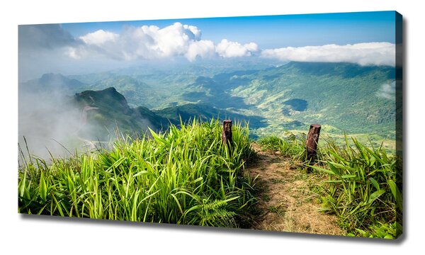 Pictură pe pânză Trail la partea de sus