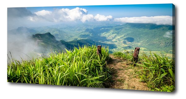 Pictură pe pânză Trail la partea de sus
