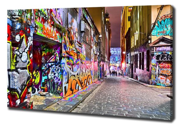 Pictură pe pânză graffiti colorat