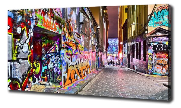Pictură pe pânză graffiti colorat