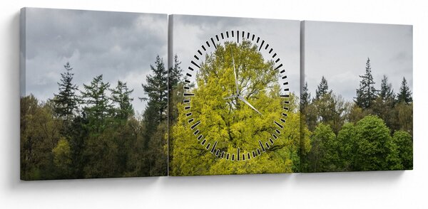 Tablou - Copac verde în câmp (cu ceas) (90x30 cm)
