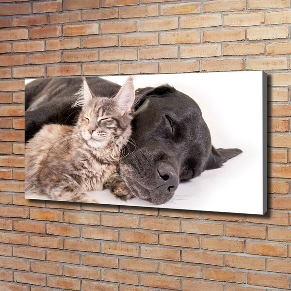 Tablou canvas Pisici si caini