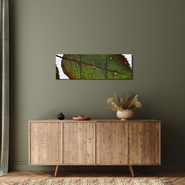 Tablou - Frunze de trandafir (cu ceas) (90x30 cm)