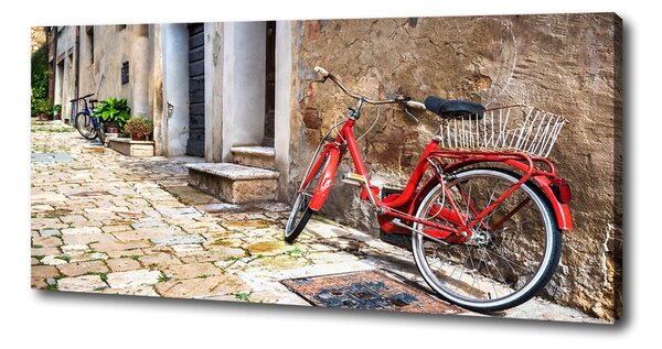 Tablou pe pânză bicicletă roșie