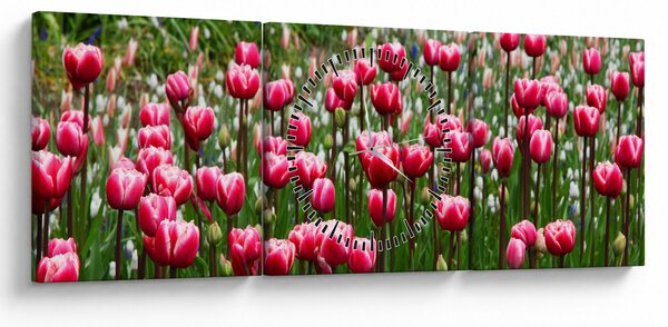 Tablou - Lalele (cu ceas) (90x30 cm)
