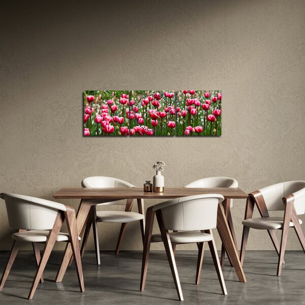 Tablou - Lalele (cu ceas) (90x30 cm)