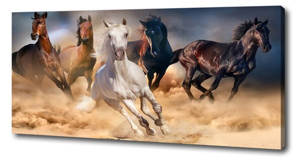 Imprimare tablou canvas galopantă Cai