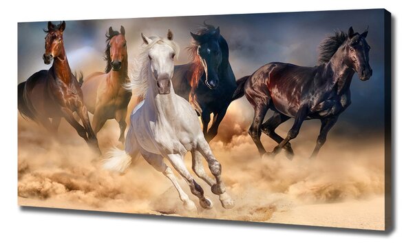 Imprimare tablou canvas galopantă Cai