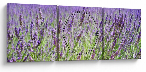 Tablou - Lavandă în câmp (cu ceas) (90x30 cm)