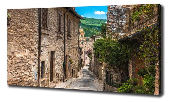 Tablou pe pânză canvas stradă fermecătoare