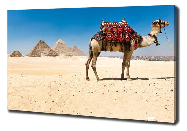 Tablou pe pânză Camel la Cairo