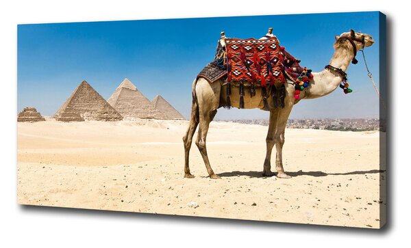 Tablou pe pânză Camel la Cairo