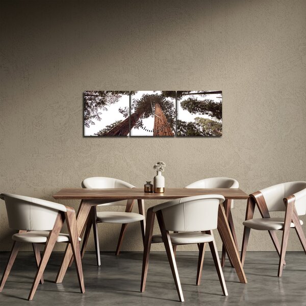 Tablou - Privire prin vârfurile copacilor (cu ceas) (90x30 cm)