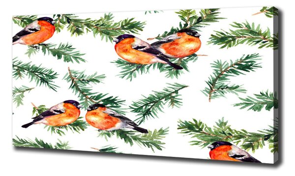 Imprimare tablou canvas Robin pe iglaku