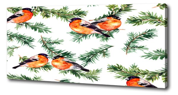 Imprimare tablou canvas Robin pe iglaku