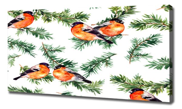 Imprimare tablou canvas Robin pe iglaku