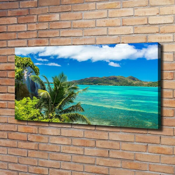 Tablou canvas Seychelles Coast
