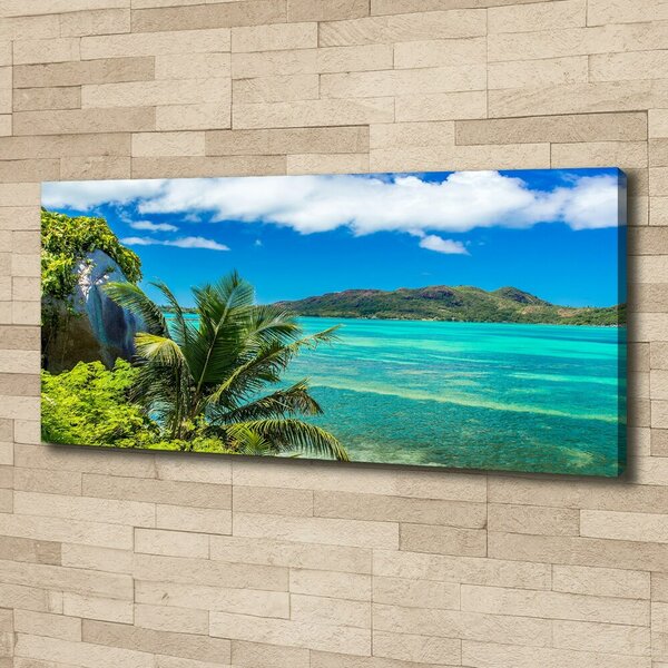 Tablou canvas Seychelles Coast