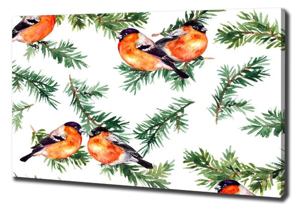 Imprimare tablou canvas Robin pe iglaku
