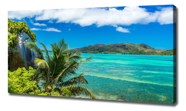 Tablou canvas Seychelles Coast