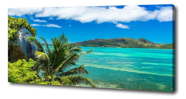 Tablou canvas Seychelles Coast