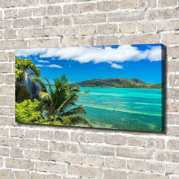 Tablou canvas Seychelles Coast
