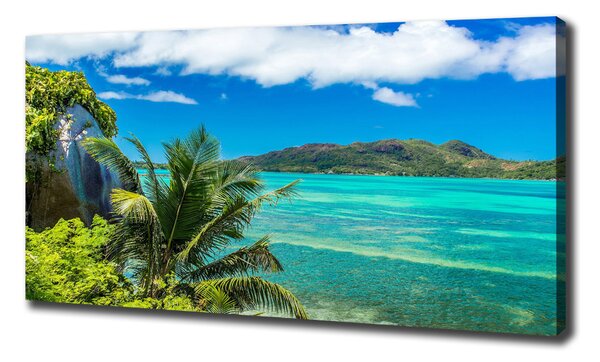 Tablou canvas Seychelles Coast
