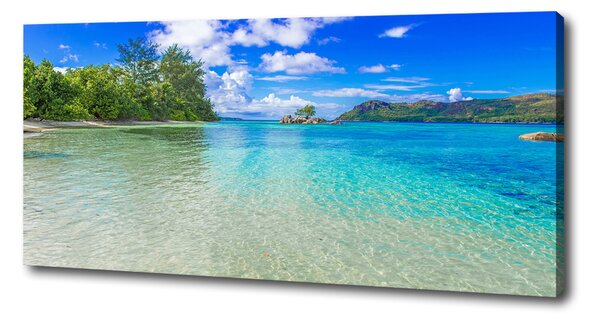Pictură pe pânză plaja Seychelles