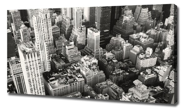 Tablou canvas New York pasăre de zbor