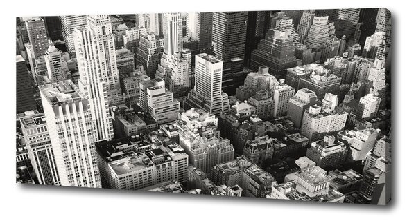 Tablou canvas New York pasăre de zbor