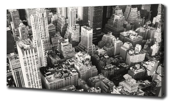 Tablou canvas New York pasăre de zbor
