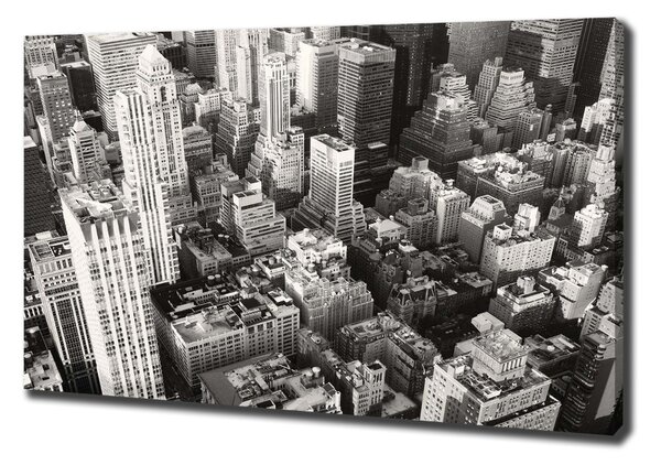 Tablou canvas New York pasăre de zbor