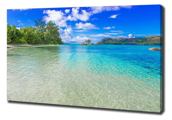 Pictură pe pânză plaja Seychelles