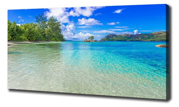 Pictură pe pânză plaja Seychelles