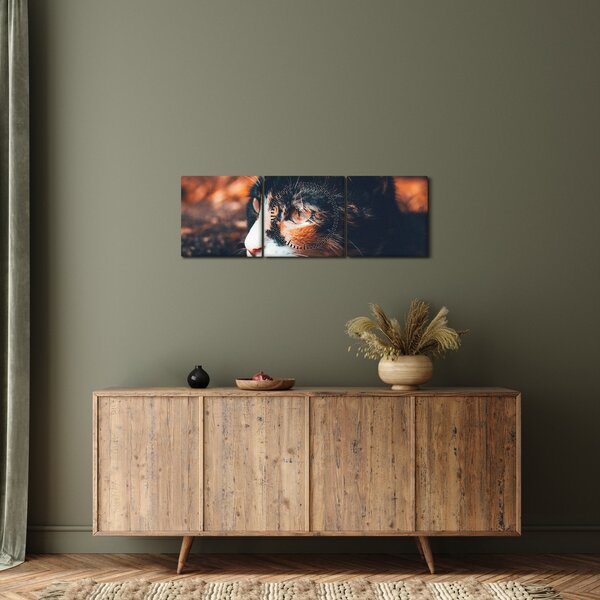 Tablou - Privirea pisicii (cu ceas) (90x30 cm)