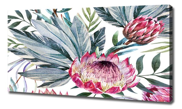 Tablou pe pânză canvas protea