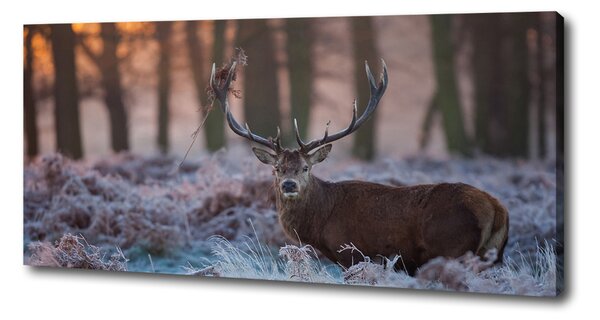 Tablouri tipărite pe pânză Sunrise Deer