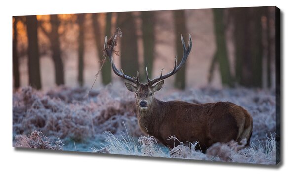 Tablouri tipărite pe pânză Sunrise Deer