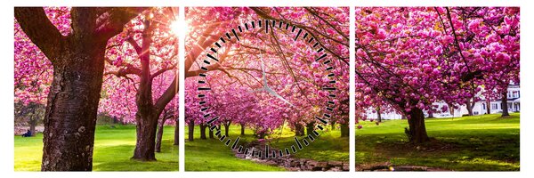 Tablou - Cireși înfloriți, Hurd Park, Dover, New Jersey (cu ceas) (90x30 cm)