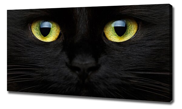 Print pe canvas Ochii pisicii