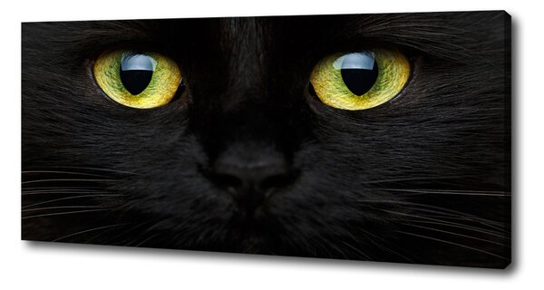 Print pe canvas Ochii pisicii
