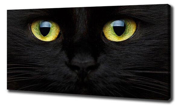 Print pe canvas Ochii pisicii