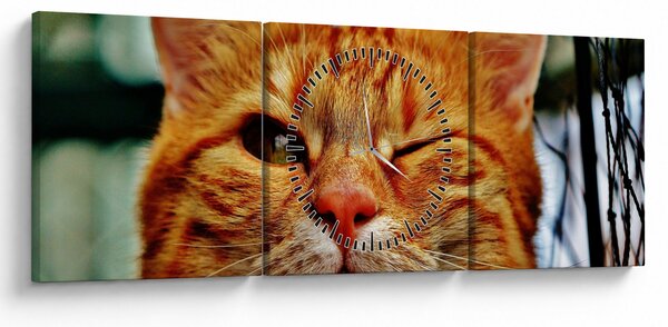 Tablou - Pisica suspicioasă (cu ceas) (90x30 cm)
