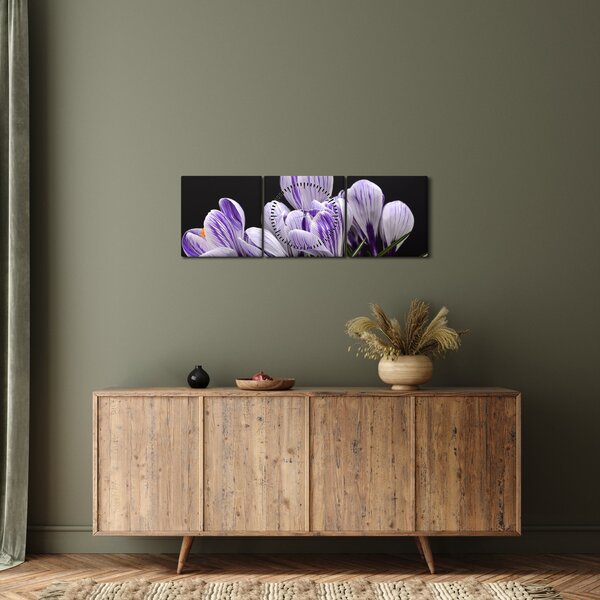 Tablou - Crocus violet (cu ceas) (90x30 cm)