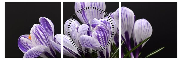Tablou - Crocus violet (cu ceas) (90x30 cm)