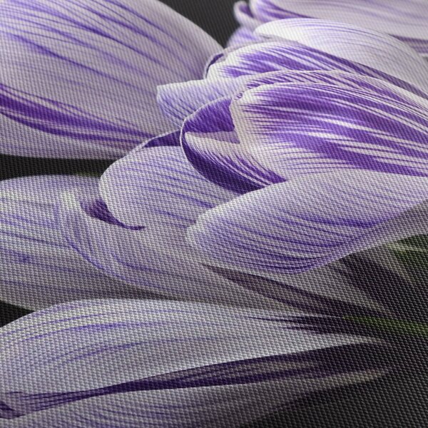 Tablou - Crocus violet (120x50 cm)