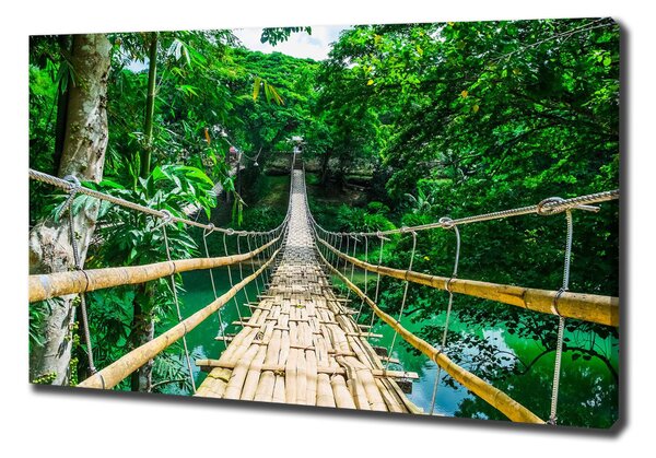 Tablou pe pânză Cele mai multe Rainforest
